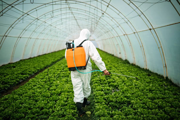 Best Pest Inspection Near Me  in Manhattan, IL