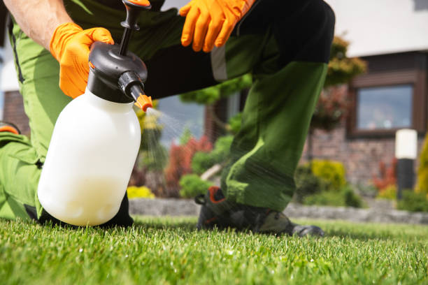 Best Termite Control Services  in Manhattan, IL